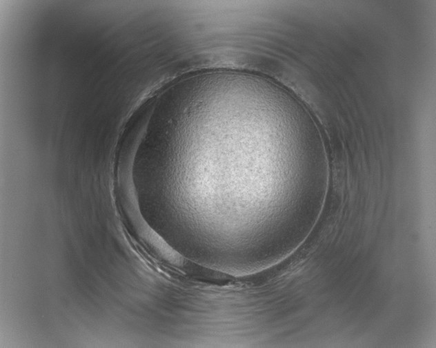 X0000070360434200606121213