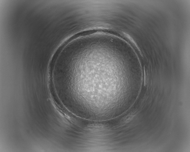 X0000070360435200606121213