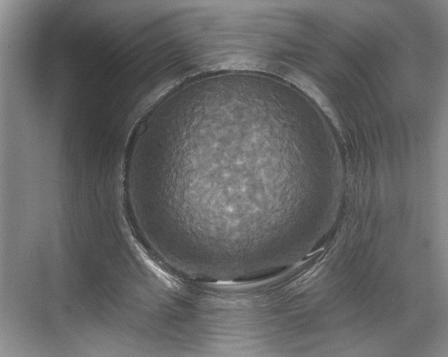 X0000070360437200606121213