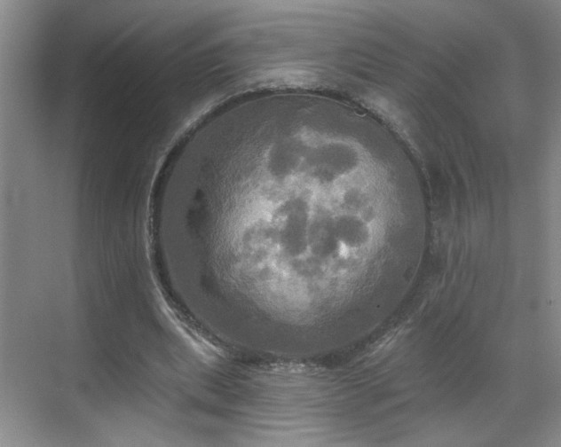 X0000070360439200606121213