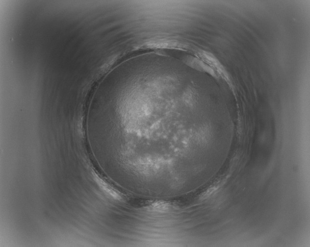 X0000070360441200606121213