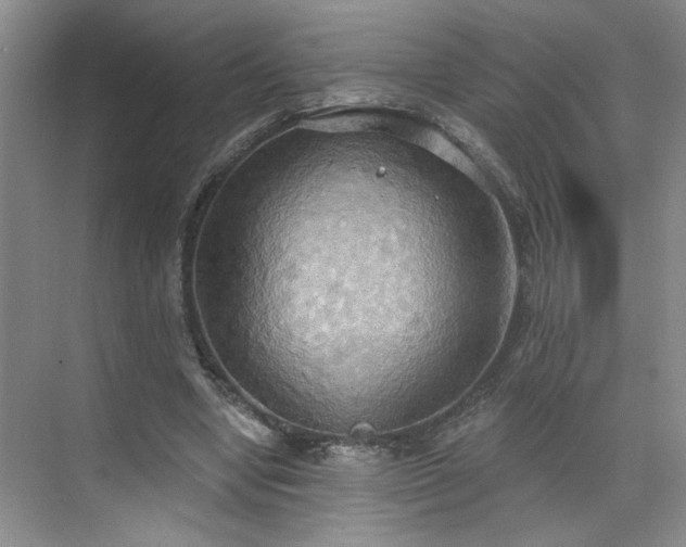 X0000070360442200606121213