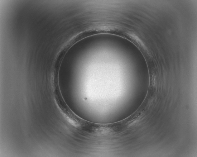 X0000070360444200606121213