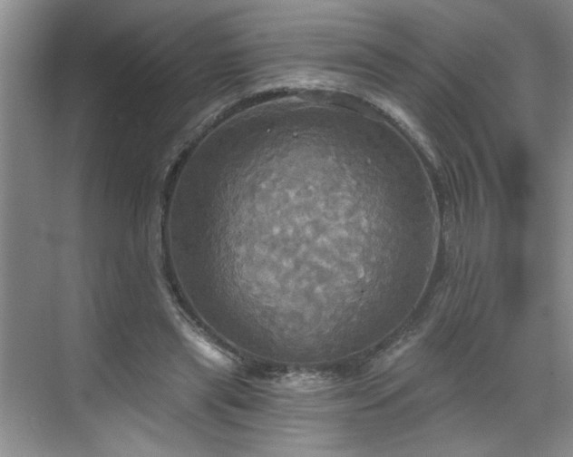 X0000070360445200606121213