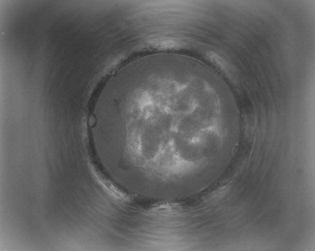 X0000070360447200606121213