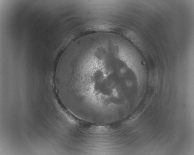 X0000070360449200606121213