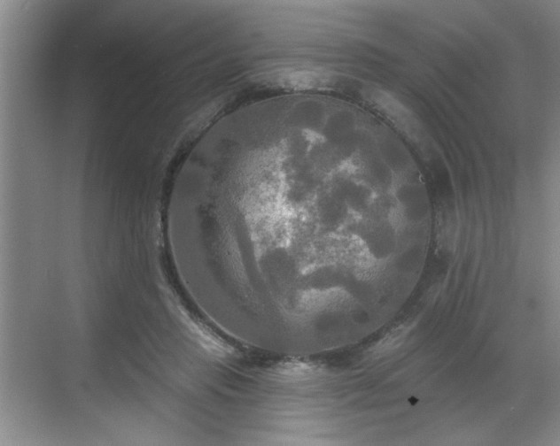 X0000070360453200606121213