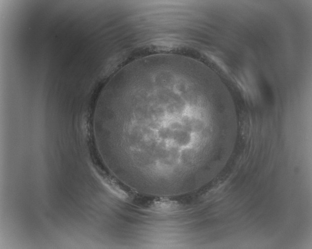 X0000070360455200606121213