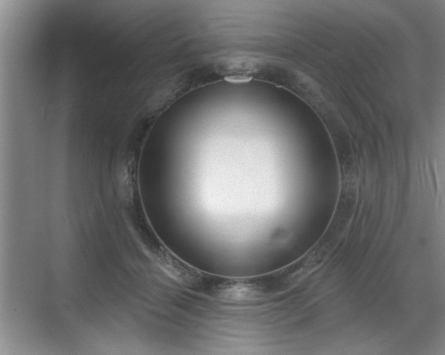 X0000070360460200606121213