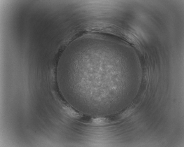 X0000070360461200606121214