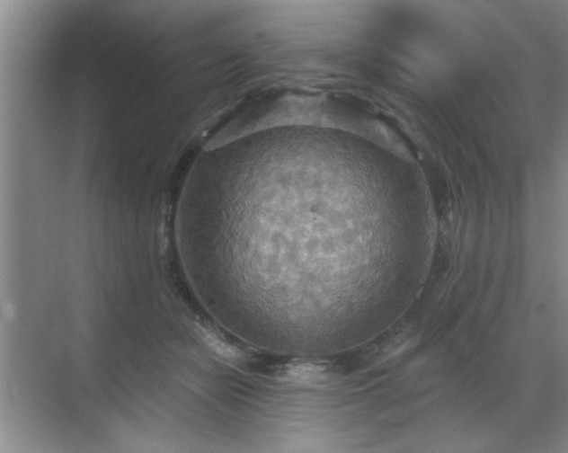 X0000070360462200606121214