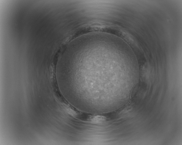 X0000070360463200606121214