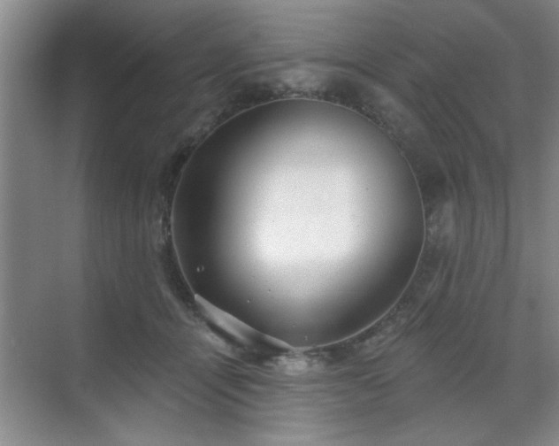 X0000070360464200606121214