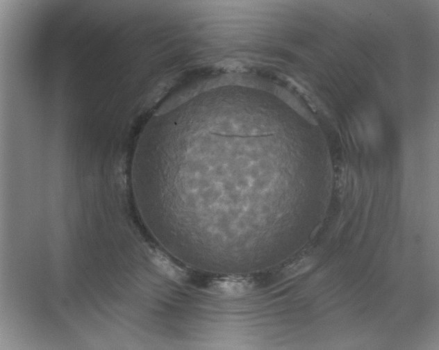 X0000070360466200606121214