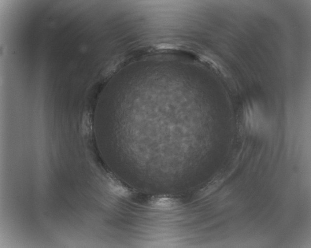 X0000070360467200606121214