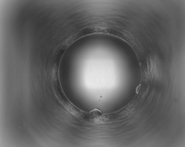 X0000070360468200606121214