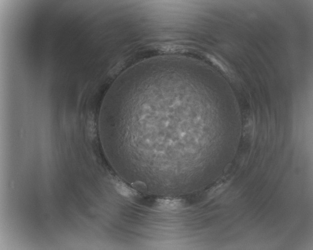 X0000070360469200606121214