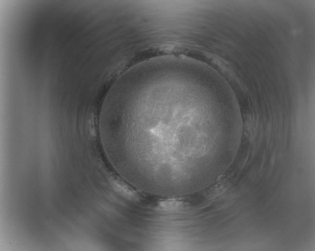 X0000070360470200606121214