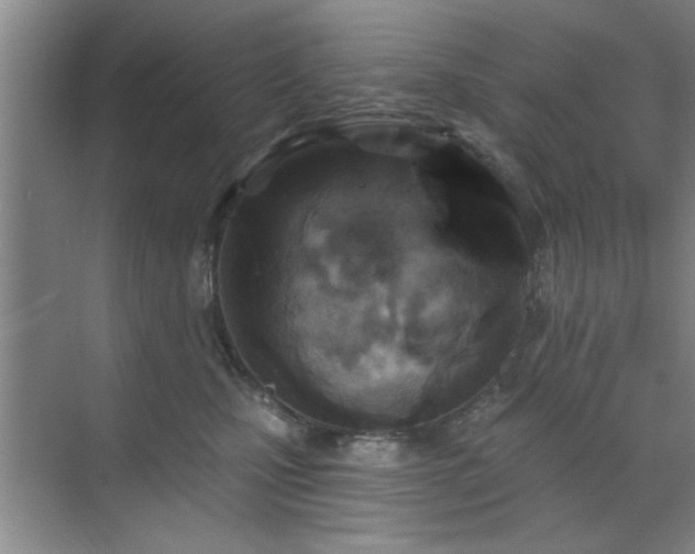 X0000070360471200606121214