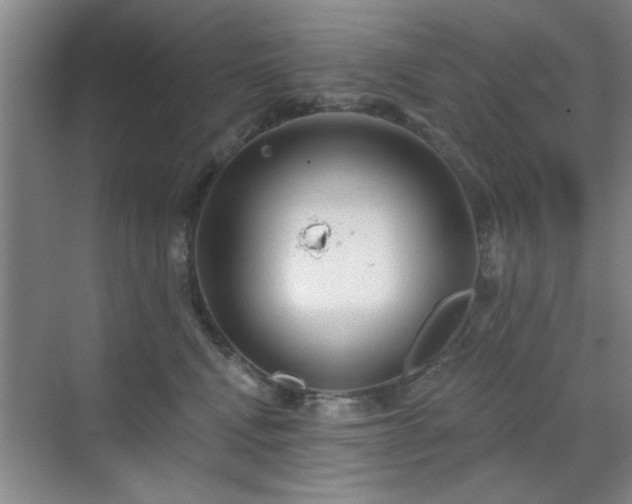 X0000070360472200606121214