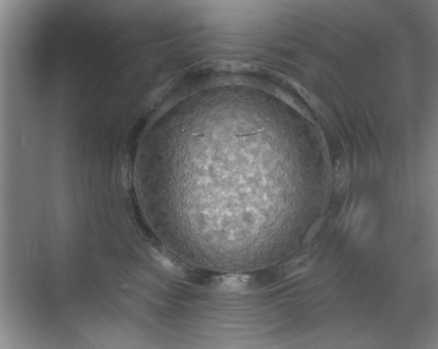 X0000070360474200606121214