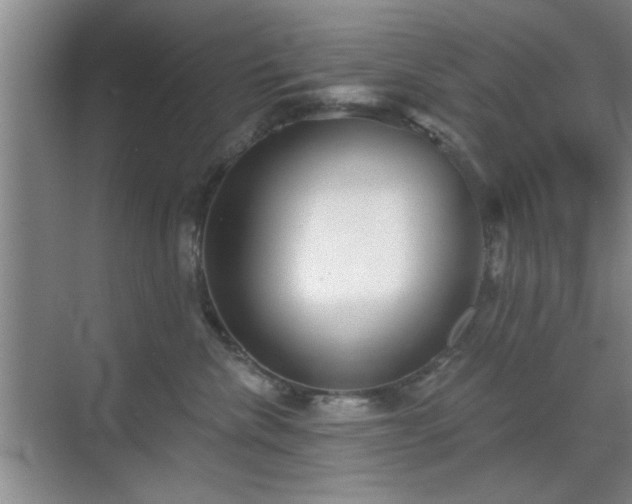 X0000070360476200606121214