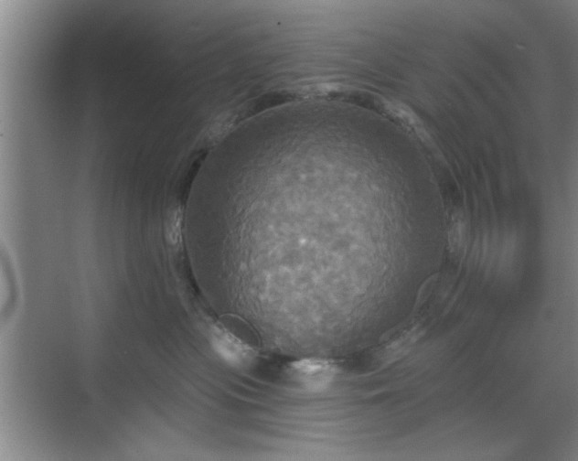 X0000070360477200606121214