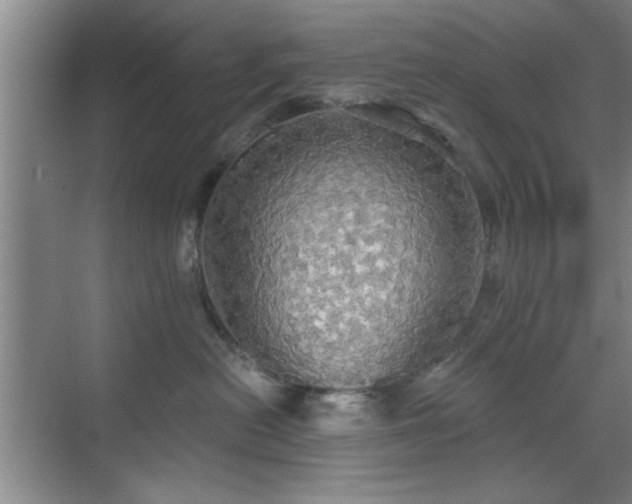 X0000070360478200606121214