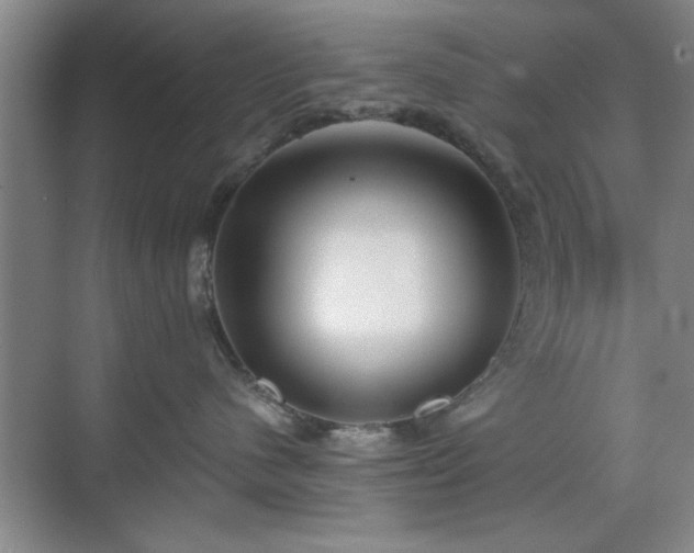 X0000070360480200606121214