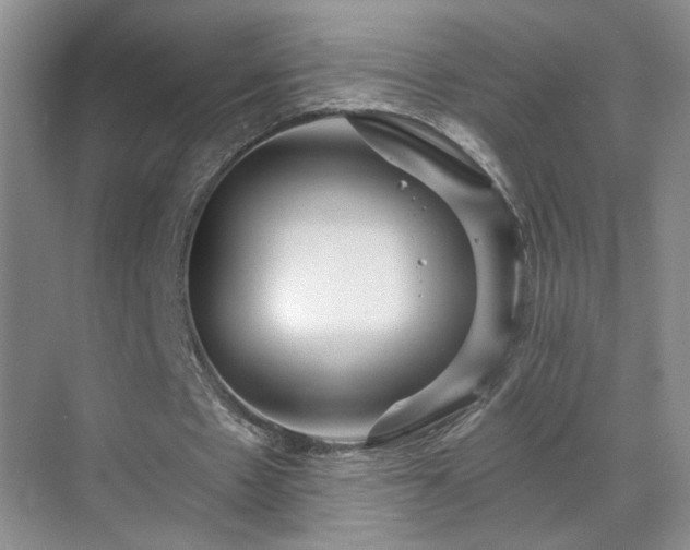 X0000070360481200606121213