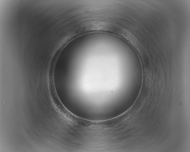 X0000070360482200606121213