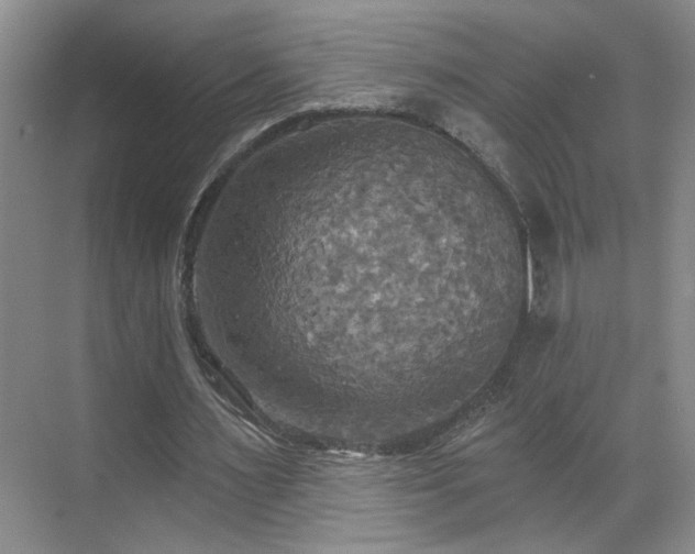 X0000070360483200606121213