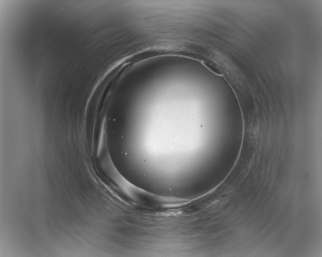 X0000070360484200606121213