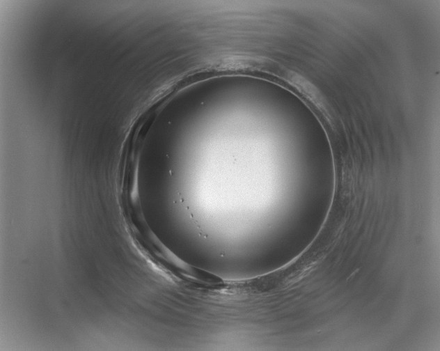 X0000070360485200606121213