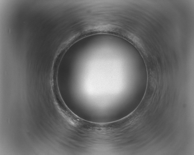 X0000070360486200606121213