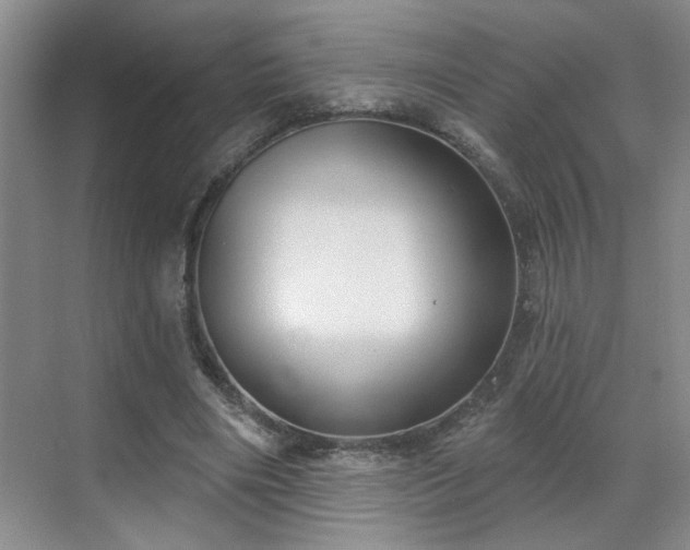 X0000070360490200606121213