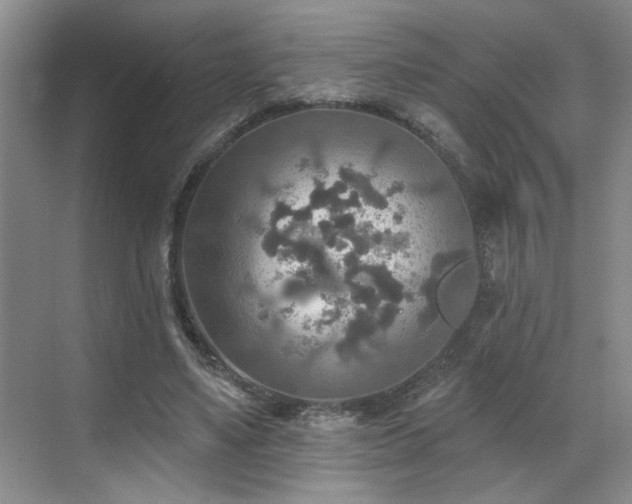 X0000070360491200606121213