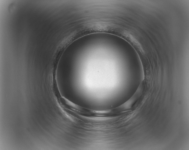 X0000070360493200606121213