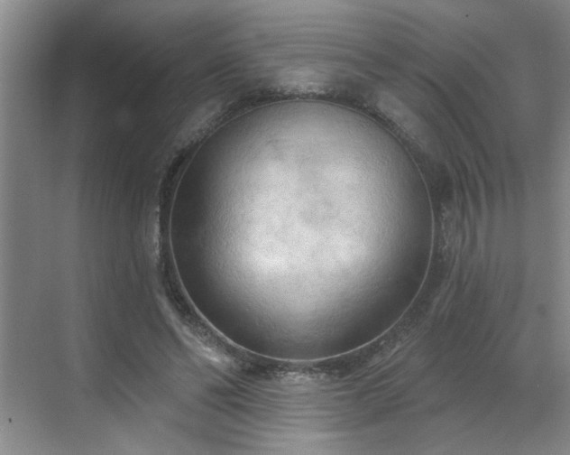 X0000070360494200606121213