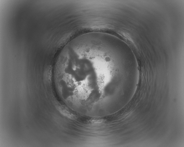 X0000070360495200606121213