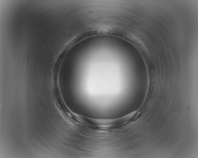 X0000070360496200606121213