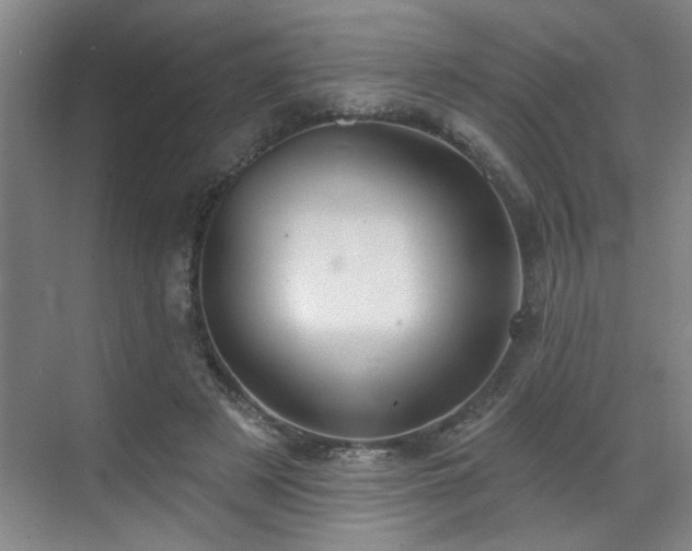 X0000070360497200606121213