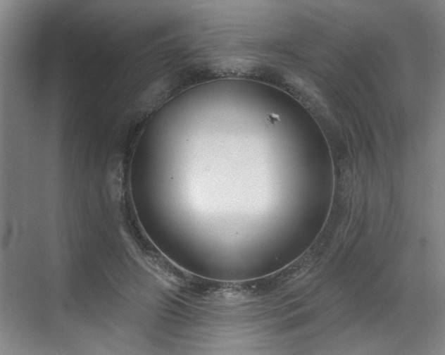 X0000070360498200606121213