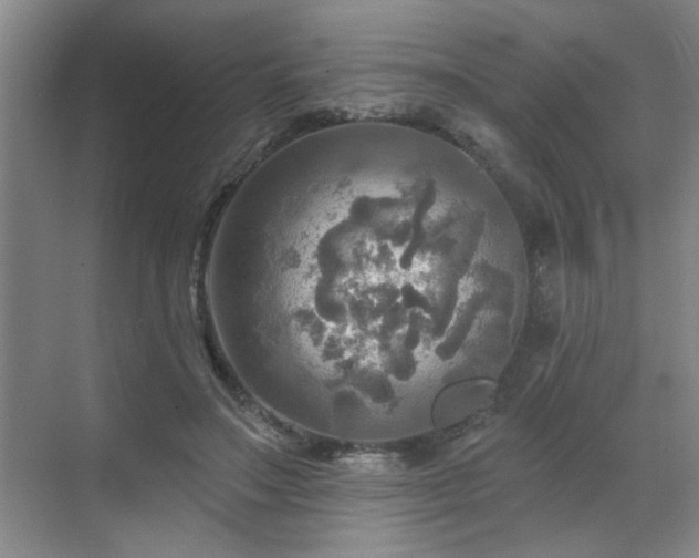 X0000070360499200606121213