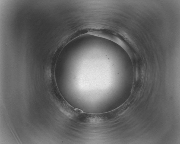 X0000070360500200606121213