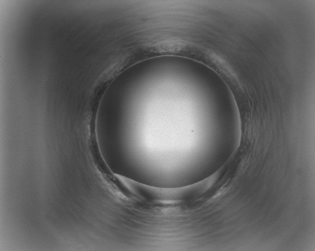 X0000070360501200606121213