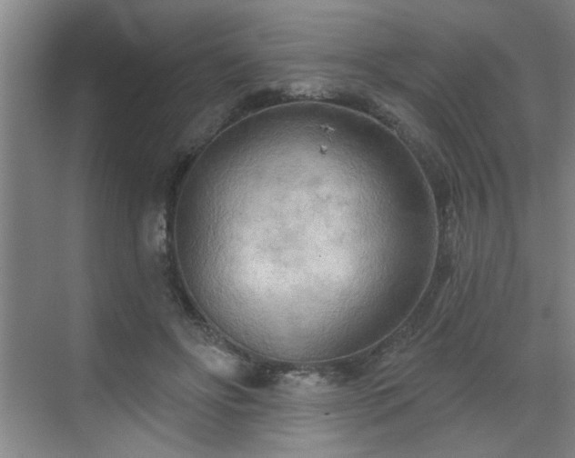 X0000070360502200606121213