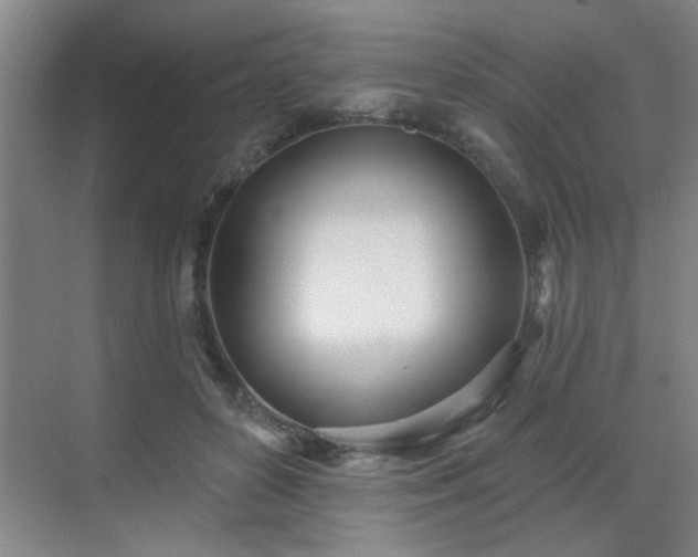 X0000070360504200606121213