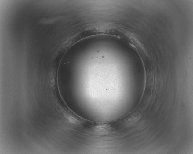 X0000070360505200606121213