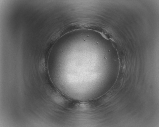 X0000070360506200606121213